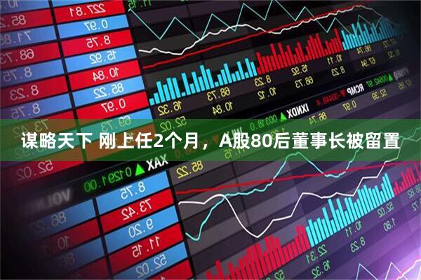 谋略天下 刚上任2个月，A股80后董事长被留置