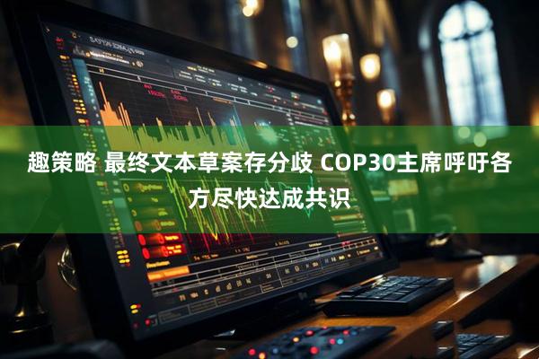 趣策略 最终文本草案存分歧 COP30主席呼吁各方尽快达成共识