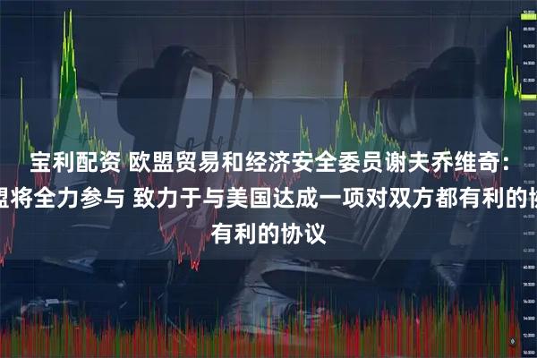 宝利配资 欧盟贸易和经济安全委员谢夫乔维奇：欧盟将全力参与 致力于与美国达成一项对双方都有利的协议