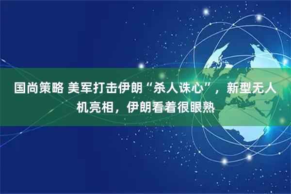 国尚策略 美军打击伊朗“杀人诛心”，新型无人机亮相，伊朗看着很眼熟
