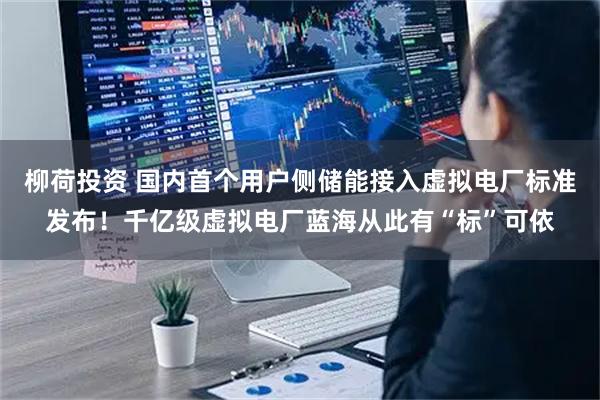 柳荷投资 国内首个用户侧储能接入虚拟电厂标准发布！千亿级虚拟电厂蓝海从此有“标”可依